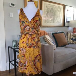 Silk Nieves Lavi Dress